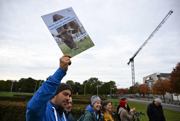 Rally calls for dairy cow pasture subsidy in Berlin BERLIN, GERMANY – OCTOBER 15: People protest in front of the German Bundestag for the introduction of a planned eco-scheme to support pasture-based dairy farming, in Berlin, Germany, 15 October 2026. The Bundestag is scheduled to debate a draft bill that would scrap the proposed subsidy. The protest is part of a week of action highlighting the importance of pasture-based livestock farming. Volodymyr Sindieiev Anadolu Berlin Germany. Editorial use only. Please get in touch for any other usage.  Copyright: x2026xAnadoluxVolodymyrxSindieievx