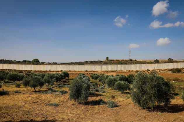 Palestinian Farmers Harvest Olives Near Barrier West of Hebron Palestinian farmers pick olives during the harvest season in a field in the village of Beit Awwa, west of Hebron, in the occupied West Bank, on October 15, 2026, near the Israeli separation barrier. Photo by Mamoun Wazwaz apaimages Hebron West Bank Palestinian Territory 151026_Hebron_MW_00(27) Copyright: xapaimagesxMamounxWazwazx xapaimagesx
