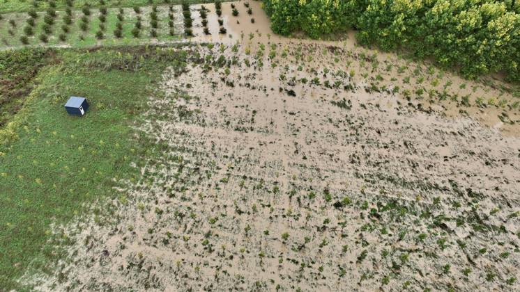 Heavy rains hit Duzce, Turkiye DUZCE, TURKIYE - OCTOBER 16: An aerial view shows floodwaters from the overflowing Melen River covering agricultural land near Demiracma village as heavy rain continues in the Akcakoca and Kocaali areas, on October 16, 2026 in Duzce, Turkiye. The river, which flows into the Black Sea, reached some residential areas after overflowing its banks. At Melenagzi Harbor, four small fishing boats reportedly capsized and drifted out to sea, while three others sank inside the harbor. Omer Urer Anadolu Duzce Turkey. Editorial use only. Please get in touch for any other usage.  Copyright: x2026xAnadoluxOmerxUrerx
