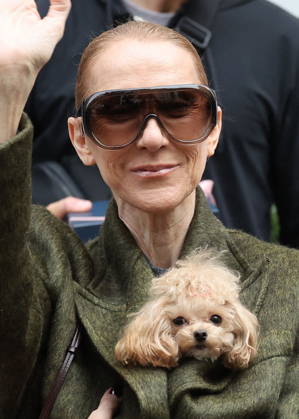 Céline Dion leaves the Royal Monceau hotel with her sons Nelson and Eddy and her dog the day after her final concert in Paris on October 19, 2026. Cyril Moreau, Bestimage. Céline Dion leaves the Royal Monceau hotel with her sons Nelson and Eddy and her dog, the day after her final concert in Paris on October 19, 2026, Paris, France  Copyright: xCYRILxMOREAUx xBESTIMAGExCYRILxMOREAUx xBESTIMAGEx