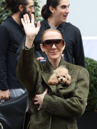 Céline Dion leaves the Royal Monceau hotel with her sons Nelson and Eddy and her dog the day after her final concert in Paris on October 19, 2026. Cyril Moreau, Bestimage. Céline Dion leaves the Royal Monceau hotel with her sons Nelson and Eddy and her dog, the day after her final concert in Paris on October 19, 2026, Paris, France  Copyright: xCYRILxMOREAUx xBESTIMAGExCYRILxMOREAUx xBESTIMAGEx