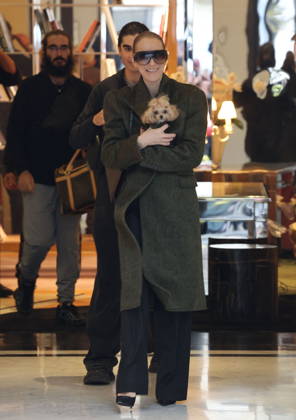 Céline Dion leaves the Royal Monceau hotel with her sons Nelson and Eddy and her dog the day after her final concert in Paris on October 19, 2026. Cyril Moreau, Bestimage. Céline Dion leaves the Royal Monceau hotel with her sons Nelson and Eddy and her dog, the day after her final concert in Paris on October 19, 2026, Paris, France  Copyright: xCYRILxMOREAUx xBESTIMAGExCYRILxMOREAUx xBESTIMAGEx