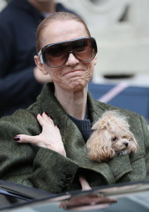 Céline Dion leaves the Royal Monceau hotel with her sons Nelson and Eddy and her dog the day after her final concert in Paris on October 19, 2026. Cyril Moreau, Bestimage. Céline Dion leaves the Royal Monceau hotel with her sons Nelson and Eddy and her dog, the day after her final concert in Paris on October 19, 2026, Paris, France  Copyright: xCYRILxMOREAUx xBESTIMAGExCYRILxMOREAUx xBESTIMAGEx