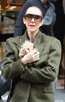 Céline Dion leaves the Royal Monceau hotel with her sons Nelson and Eddy and her dog the day after her final concert in Paris on October 19, 2026. Cyril Moreau, Bestimage. Céline Dion leaves the Royal Monceau hotel with her sons Nelson and Eddy and her dog, the day after her final concert in Paris on October 19, 2026, Paris, France  Copyright: xCYRILxMOREAUx xBESTIMAGExCYRILxMOREAUx xBESTIMAGEx