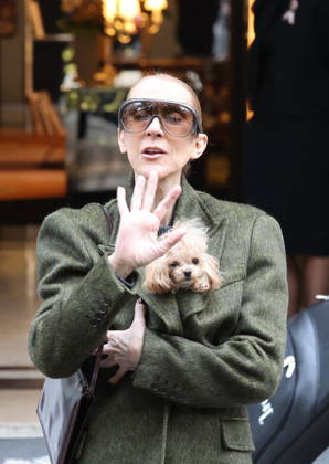 Céline Dion leaves the Royal Monceau hotel with her sons Nelson and Eddy and her dog the day after her final concert in Paris on October 19, 2026. Cyril Moreau, Bestimage. Céline Dion leaves the Royal Monceau hotel with her sons Nelson and Eddy and her dog, the day after her final concert in Paris on October 19, 2026, Paris, France  Copyright: xCYRILxMOREAUx xBESTIMAGExCYRILxMOREAUx xBESTIMAGEx
