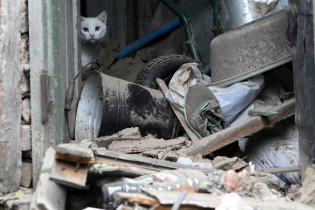 Russian troops hit Dnipro with guided bombs A white cat peeks out from behind a door in a building damaged by a Russian bombardment in Dnipro, Ukraine, on October 19, 2026. On Monday morning, Russian forces launched guided aerial bombs at the eastern city, damaging private homes and infrastructure. An 84-year-old woman was hospitalised in moderate condition. Dnipro Ukraine  Copyright: xMykolaxMiakshykovx originalFilename: ukrinform-russiant261019_nplij