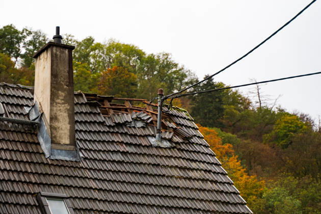 Severe Storms in Rhineland-Palatinate: Storm Uproots Trees and Damages Houses During the night of October 24, 2026, str