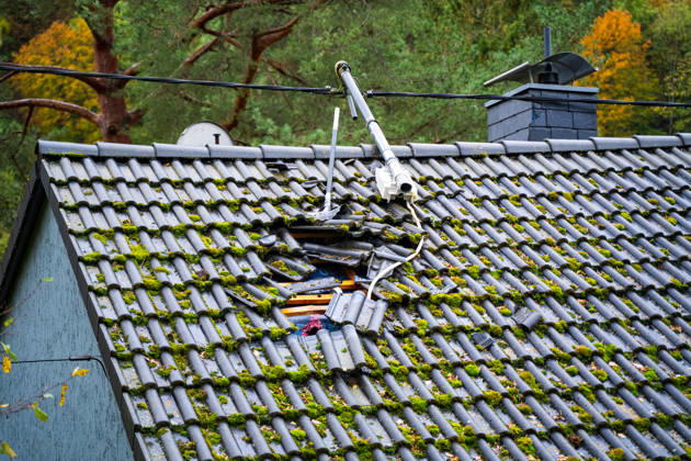 Severe Storms in Rhineland-Palatinate: Storm Uproots Trees and Damages Houses During the night of October 24, 2026, str