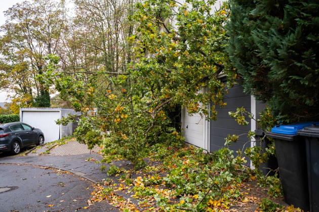 Severe Storms in Rhineland-Palatinate: Storm Uproots Trees and Damages Houses During the night of October 24, 2026, str