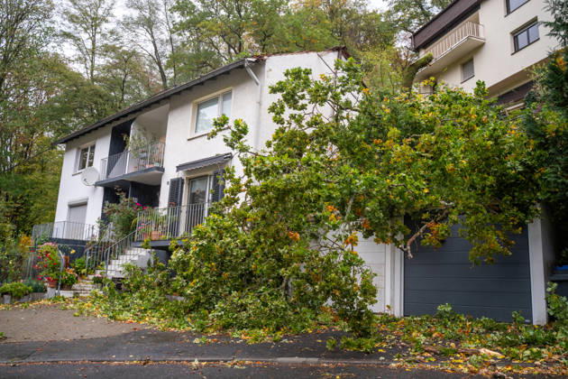 Severe Storms in Rhineland-Palatinate: Storm Uproots Trees and Damages Houses During the night of October 24, 2026, str