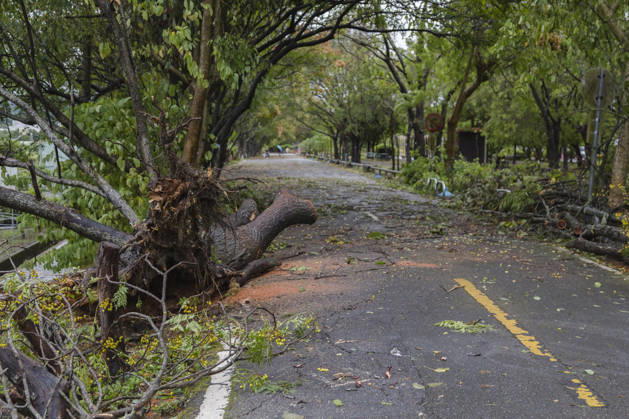 October 24, 2026, Taichung, Taiwan: A view of an uprooted tree that have been blown down by strong winds from Typhoon Champi next to the bikeway, in Taichung, Taiwan. The Central Weather Administration (CWA) has lifted its land warning for Typhoon Champi, which has been downgraded into a tropical storm. According to the Central Emergency Operations Center (CEOC), the strong winds and heavy rains of Champi had left one person dead and 527 injured in Taiwan as of Saturday morning. Taichung Taiwan - ZUMAc217 20261024_zip_c217_008 Copyright: xAndrexM.xChangx