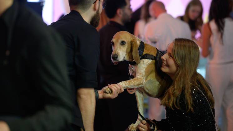 Duisburg German Petfluencer Awards 2026 ** FOR EDITORIAL USE ONLY ** EDITORIAL USE ONLY ** p At the German Petfluencer Awards 2026 on Saturday, October 24, 2026, at the Gebläsehalle in the Duisburg Nord Landscape Park, Germany, North Rhine-Westphalia, Duisburg. Copyright UwexErnst Copyright: UwexErnst doc886azj353931begdquj ,EDITORIAL USE ONLY Copyright: UwexErnst