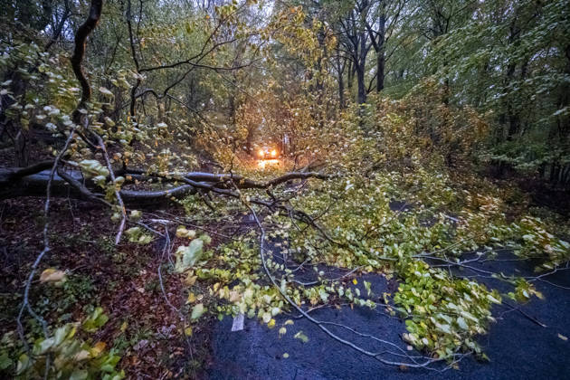 SJÖBO, October 25, 2026 Fallen trees on the roads outside Sjöbo as Storm Boelo swept across southern Sweden on Sunday. Storm Boelo is moving in with southwesterly winds. SJÖBO, SWEDEN x50090x  Copyright: xJohanxNilssonx xTTx HÖSTRUSK OCH HARDA VIND - STORMEN BOELO 7af-Nn-O_aY