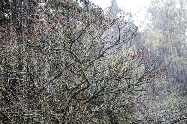 Heavy Rainfall in Rural Areas: Heavy rain is lashing the countryside during a sleet storm accompanied by gusts of wind in Essen, North Rhine-Westphalia, Germany