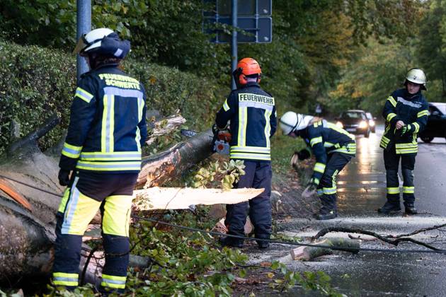 Fallen Tree in Schwerte: 80-Centimeter-Thick Tree Crashes Into Moving Car – Passengers Narrowly Escape Disaster 7aIMG 0578223 Fallen Tree in Schwerte: 80-Centimeter-Thick Tree Crashes Into Moving Car – Passengers narrowly escape disaster North Rhine-Westphalia, Schwerte, Germany Copyright: 7aktuell.dex xMarcxGruber 0578223 20261025_7a_vuschwertebaum_578223