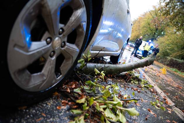 Fallen Tree in Schwerte: 80-centimeter-thick Tree Crashes Into Moving Car – Passengers Narrowly Escape Disaster 7aIMG 0578224 Fallen Tree in Schwerte: 80-centimeter-thick Tree Crashes Into Moving Car – Passengers narrowly escape disaster North Rhine-Westphalia, Schwerte, Germany Copyright: 7aktuell.dex xMarcxGruber 0578224 20261025_7a_vuschwertebaum_578224