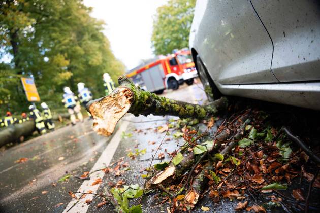 Fallen Tree in Schwerte: 80-Centimeter-Thick Tree Crashes Into Moving Car – Passengers Narrowly Escape Disaster 7aIMG 0578226 Fallen Tree in Schwerte: 80-Centimeter-Thick Tree Crashes Into Moving Car – Passengers narrowly escape disaster North Rhine-Westphalia, Schwerte, Germany Copyright: 7aktuell.dex xMarcxGruber 0578226 20261025_7a_vuschwertebaum_578226