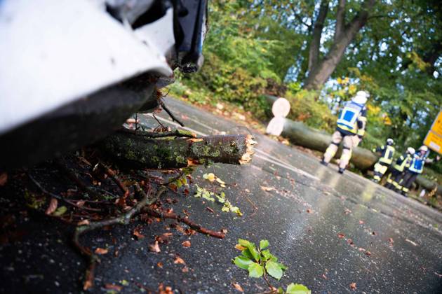 Fallen Tree in Schwerte: 80-Centimeter-Thick Tree Crashes Into Moving Car – Passengers Narrowly Escape Disaster 7aIMG 0578227 Fallen Tree in Schwerte: 80-Centimeter-Thick Tree Crashes Into Moving Car – Passengers narrowly escape disaster North Rhine-Westphalia, Schwerte, Germany Copyright: 7aktuell.dex xMarcxGruber 0578227 20261025_7a_vuschwertebaum_578227