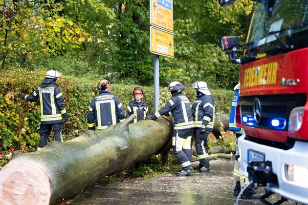 Fallen Tree in Schwerte: 80-Centimeter-Thick Tree Crashes Into Moving Car – Passengers Narrowly Escape Disaster 7aIMG 0578228 Fallen Tree in Schwerte: 80-Centimeter-Thick Tree Crashes Into Moving Car – Passengers narrowly escape disaster North Rhine-Westphalia, Schwerte, Germany Copyright: 7aktuell.dex xMarcxGruber 0578228 20261025_7a_vuschwertebaum_578228