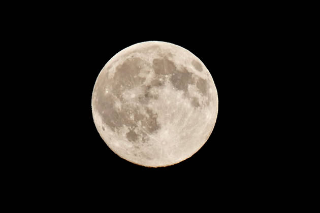 Full Hunters Moon The full Hunters Moon in the evenings sky., Credit:Geoffrey Swaine Geoff Swaine - B4563 Avalon UK, Oxfordshire, Dunsden  Copyright: xGeoffreyxSwainex xGeoffxSwainex-xB4563x xAvalonx 1146563294