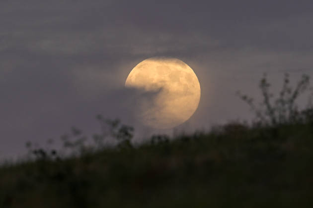 Full Hunter s Moon rises over San Francisco Bay SAN FRANCISCO, CA - OCTOBER 25: The full moon is known as the Hunter s Moon rises over Seal Point Park near the San Francisco Bay in San Mateo, California, United States on October 25, 2026. Tayfun Coskun Anadolu California United States. Editorial use only. Please get in touch for any other usage.  Copyright: x2026xAnadoluxTayfunxCoskunx