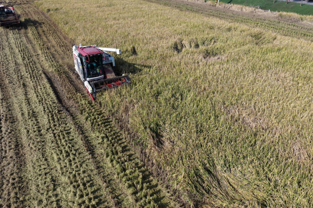 YANGZHOU, CHINA - OCTOBER 26: A combine harvester works in a rice field to harvest late rice on October 26, 2026 in Yangzhou, Jiangsu Province of China.  Copyright: xVCGx 111677173416