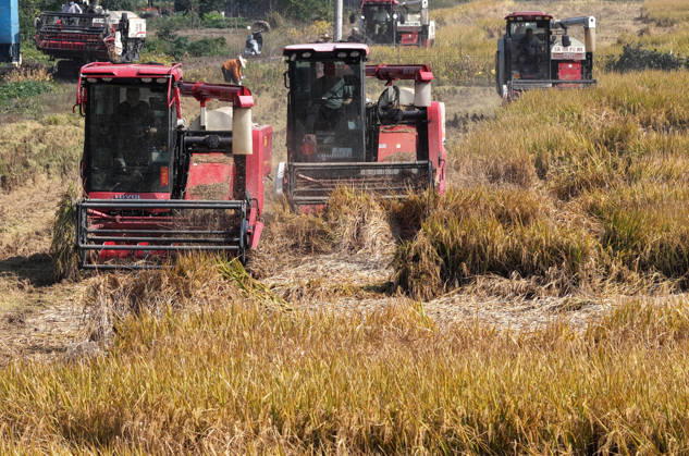 YANGZHOU, CHINA - OCTOBER 26: Combine harvesters work in a rice field to harvest late rice on October 26, 2026 in Yangzhou, Jiangsu Province of China.  Copyright: xVCGx 111677173438