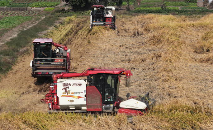 YANGZHOU, CHINA - OCTOBER 26: Combine harvesters work in a rice field to harvest late rice on October 26, 2026 in Yangzhou, Jiangsu Province of China.  Copyright: xVCGx 111677173433