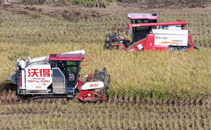 YANGZHOU, CHINA - OCTOBER 26: Combine harvesters work in a rice field to harvest late rice on October 26, 2026 in Yangzhou, Jiangsu Province of China.  Copyright: xVCGx 111677173428