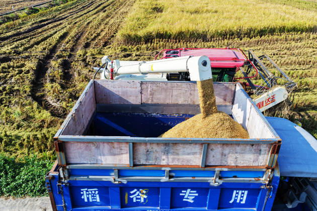 YANGZHOU, CHINA - OCTOBER 26: Combine harvesters work in a rice field to harvest late rice on October 26, 2026 in Yangzhou, Jiangsu Province of China.  Copyright: xVCGx 111677173424