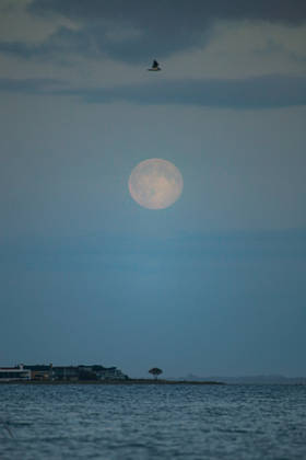 October 26, 2026, Aarhus, Region Midtjylland, Denmark: Full Moon (Hunter s Moon) rises over the sea as seen from Aarhus. Denmark. Aarhus Denmark - ZUMAm204 20261026_zip_m204_001 Copyright: xAmitxMachamasix