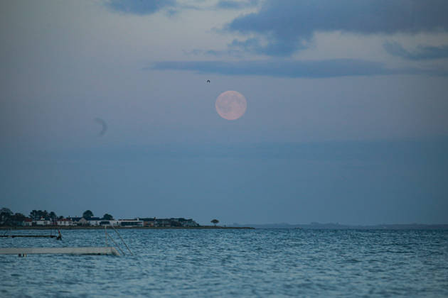 October 26, 2026, Aarhus, Region Midtjylland, Denmark: Full Moon (Hunter s Moon) rises over the sea as seen from Aarhus. Denmark. Aarhus Denmark  - ZUMAm204 20261026_zip_m204_003 Copyright: xAmitxMachamasix