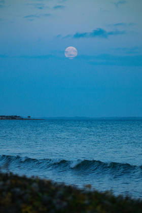 October 26, 2026, Aarhus, Region Midtjylland, Denmark: Full Moon (Hunter s Moon) rises over the sea as seen from Aarhus. Denmark. Aarhus Denmark - ZUMAm204 20261026_zip_m204_011 Copyright: xAmitxMachamasix