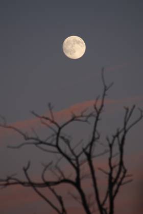 October s full Hunter s Moon in New Jersey SECAUCUS, NEW JERSEY, UNITED STATES - OCTOBER 26: The full moon, known as the Hunter s Moon for the month of October, is seen at Hackensack River in Secaucus, New Jersey, United States on October 26, 2026. Islam Dogru Anadolu New York United States. Editorial use only. Please get in touch for any other usage.  Copyright: x2026xAnadoluxIslamxDogrux