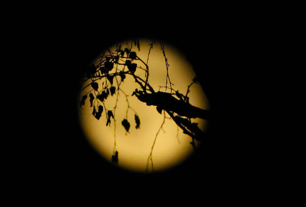 October 27, 2026, Full Moon; the photo shows branches against the full moon